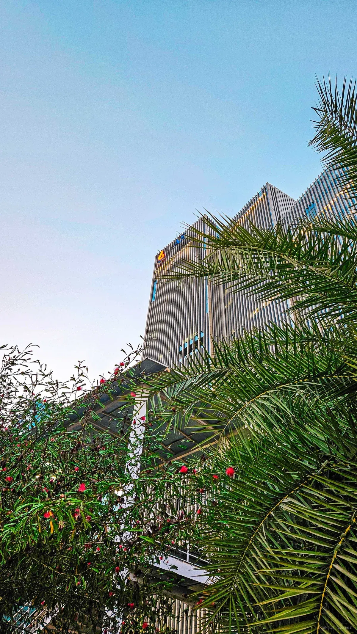 A modern building's vertical metal fins seen from below, framed by palm fronds and a red-flowering shrub.