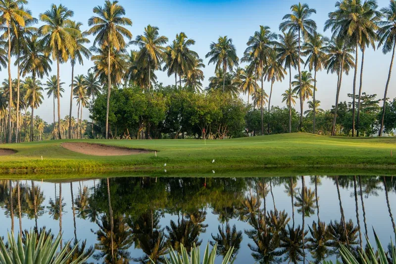 A mown fairway and sand bunker backed by tall coconut palms, the whole treeline mirrored in still water with two egrets on the bank.