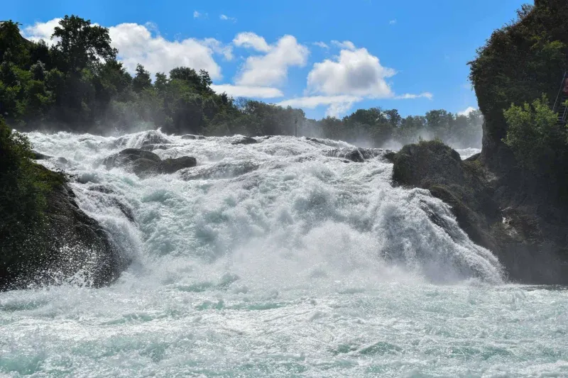 The Rhine Falls breaking white over dark rock ledges, spray hanging in the air between wooded banks.