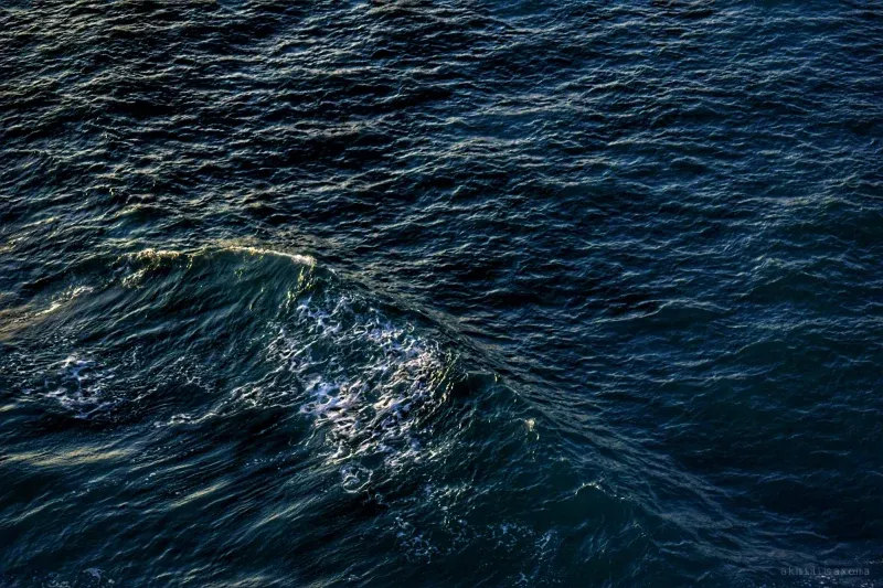 One small wave breaking white across dark blue-black open water, lit from a low angle.